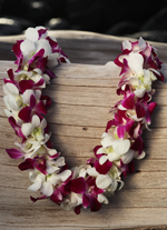 pink and white double orchid lei